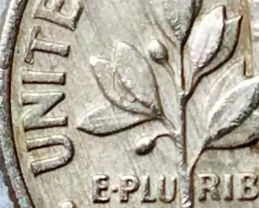 2006-P-Roosevelt-Raised-Roller-Lines/Lamination?